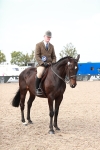 Class 213 Ridden Hunter -Large portfolio