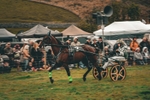 DSCF7143