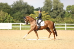 SBM_002875