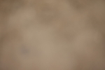 20260913-0481