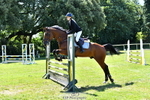 Cls 56 Snr Brit Nov 90cm Open portfolio