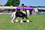 SBM_09373
