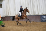 SBM_002910