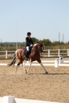SBM_003875