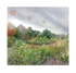 October 2019 - Arnold Arboretum - Title:  Fade to Grey