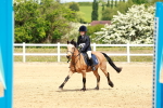 SBM_007856