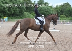 BPP_0708