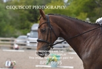 BPP_6695
