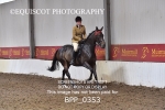 BPP_0353
