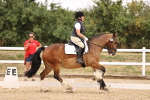 SBM_008677