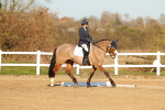SBM_004695