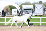 SBM_05855