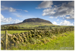Slemish Mountain (IMG0145)