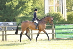 SBM_20183