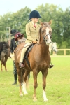 S59 - Mountain & Moorland Ridden Small Breeds portfolio