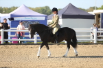 SBM_00502
