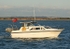 081003 LADY FALOUS IMG_5631
