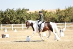SBM_017451