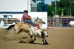 3HRodeo8-11-25_PRCASteer_07929_
