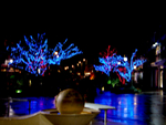 Christmas Lights - 27