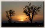 Kruger Park Sunset