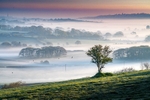 z4376 Morning Mist over Ashey