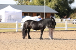 SBM_12875