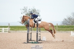 Cls 5 Pony British Novice and 80cm portfolio