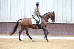 SBM_003466