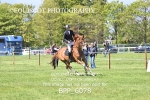BPP_6078