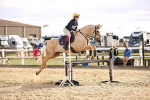 SBM_003618