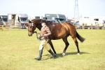 SBM_12937
