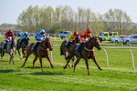 080426-Race 5-Free Pic-0574