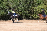 WJ6_7557