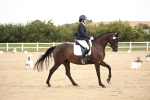 SBM_019173