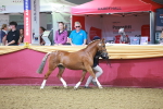 SBM_14669