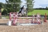 BPP_3084