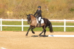 SBM_004638