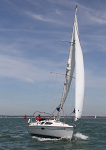 100709 HIPPOCAMPUS IMG_3717