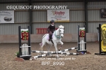 CLASS 1 Beginners Show Jumping portfolio