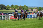 120526-Race 3-Merlier-7783