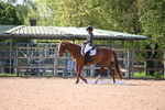 WJ6_7684