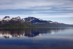 Early morning reflections