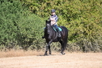 WJ6_7333