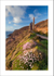 Wheal Coates