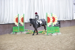 SBM_000231