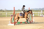 SBM_000045