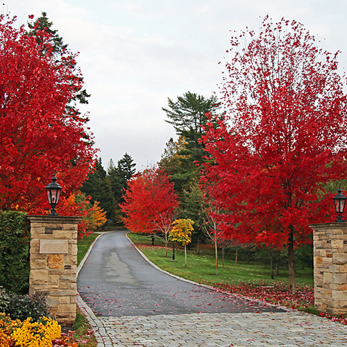 A driveway entrance adorned in autumn hues.