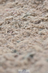 230630A-164246-03493