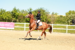 SBM_000949